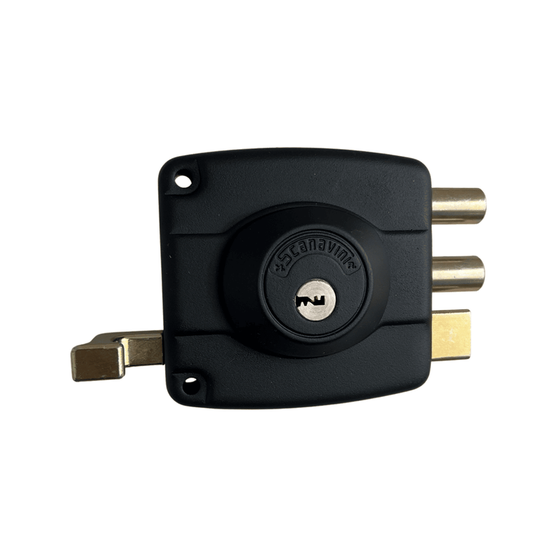 CHAPA-2001-30-SCANAVINI--C03-