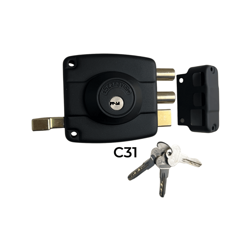 CHAPA-2001-30-SCANAVINI--C03-
