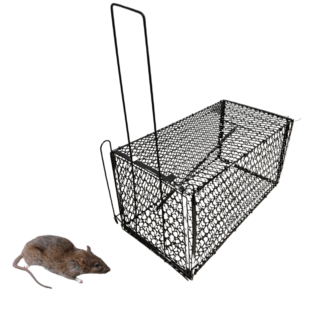 Jaula trampa para ratas y ratones EDM 06116
