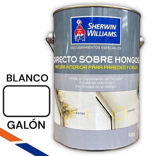 ESMALTE AL AGUA DIRECTO SOBRE HONGOS GALON SHERWIN WILLIAMS HUMEDAD